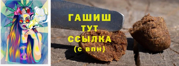 дживик Краснослободск