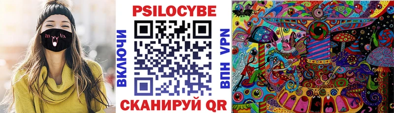 Купить  Сургут  Галлюциногенные грибы Cubensis 